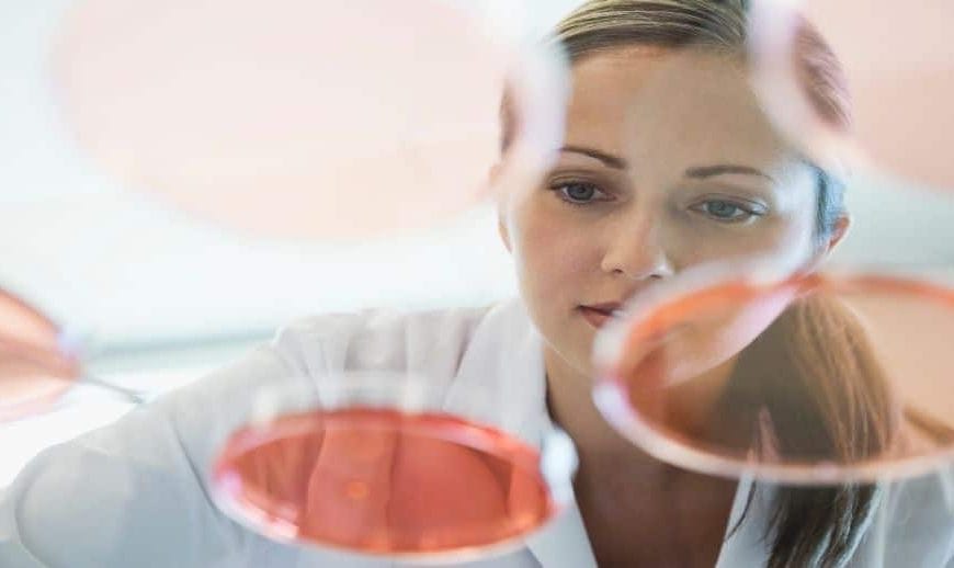 ROVI trusts Atos for the outsourcing of its IT systems.