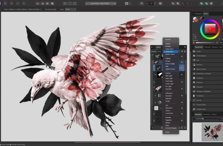 Canva directly targets Adobe with the acquisition of Affinity.