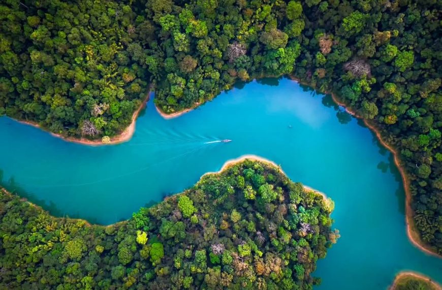 Atos maintains its “AAA” ESG rating after the latest MSCI update.