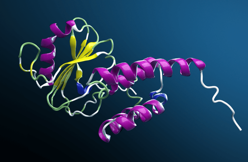 NVIDIA Drives Digital Biology with the Open Framework BioNeMo for the Global Biopharmaceutical Industry