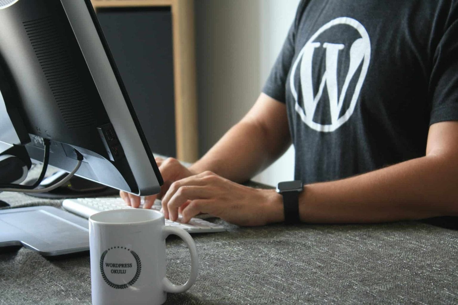 seo wordpress desarrollador programador