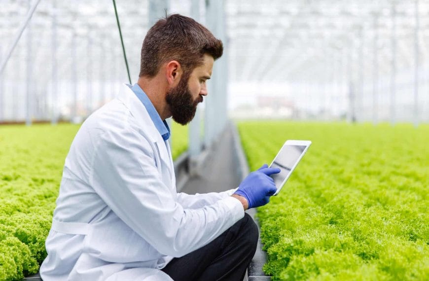 Internet of Things Reduces Up to 50% Water Consumption in Agricultural Irrigation