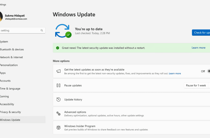 Hotpatching Comes to Windows 11: Updates Without Restarts to Enhance Security and Productivity