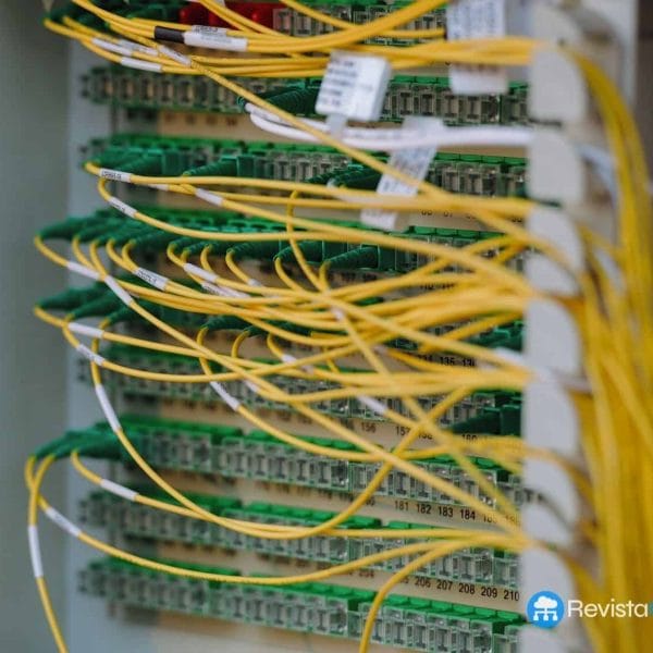 Meet-Me Room: Freedom of Interconnection in the Era of Critical Connectivity