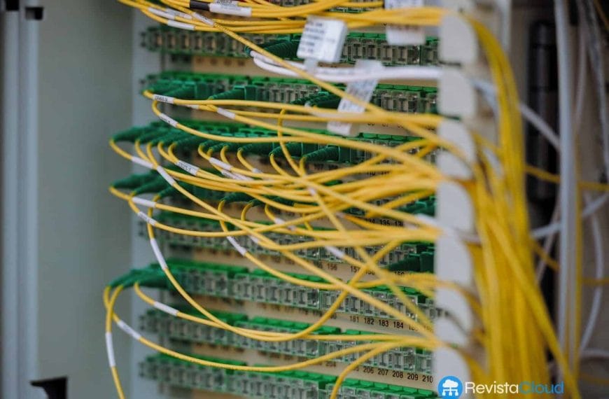 Meet-Me Room: Freedom of Interconnection in the Era of Critical Connectivity