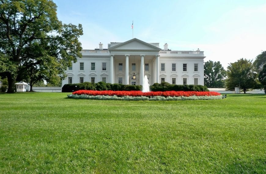 The United States Could Veto State Artificial Intelligence Laws for a Decade