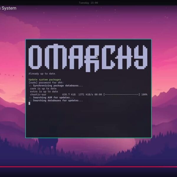 Omarcy: The Aesthetic and Productive Alternative for Advanced Linux Users