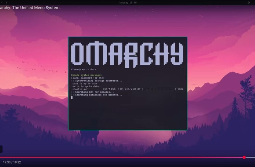 Omarcy: The Aesthetic and Productive Alternative for Advanced Linux Users