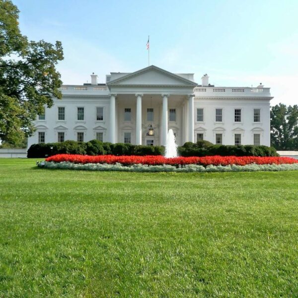 Chips, Politics, and the 15% Battle That Redefines the Global Playing Field