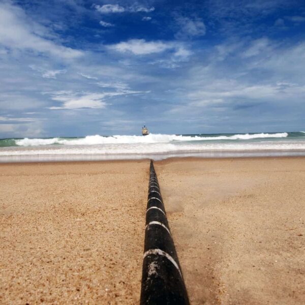 ATLAS: Canary Islands Undersea Cables Become Sensors to Protect the Atlantic with Whale Detection and Seismic Alerts