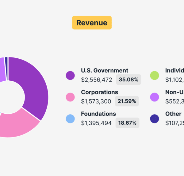 Tor takes out the calculator: how the project behind Tor Browser is financed (and what it spends on) in 2023-2024