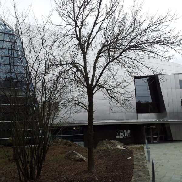 The Mainframe Shines Again: IBM Achieves Its Best Year in 20 Years with the Z Family and Drives On-Premise AI