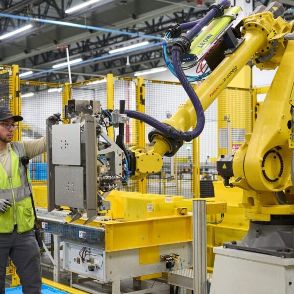 When Will There Be More Robots Than Humans?
