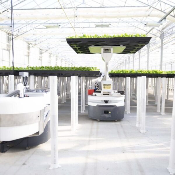 Hippo Harvest raises $30 million to expand its automated greenhouses