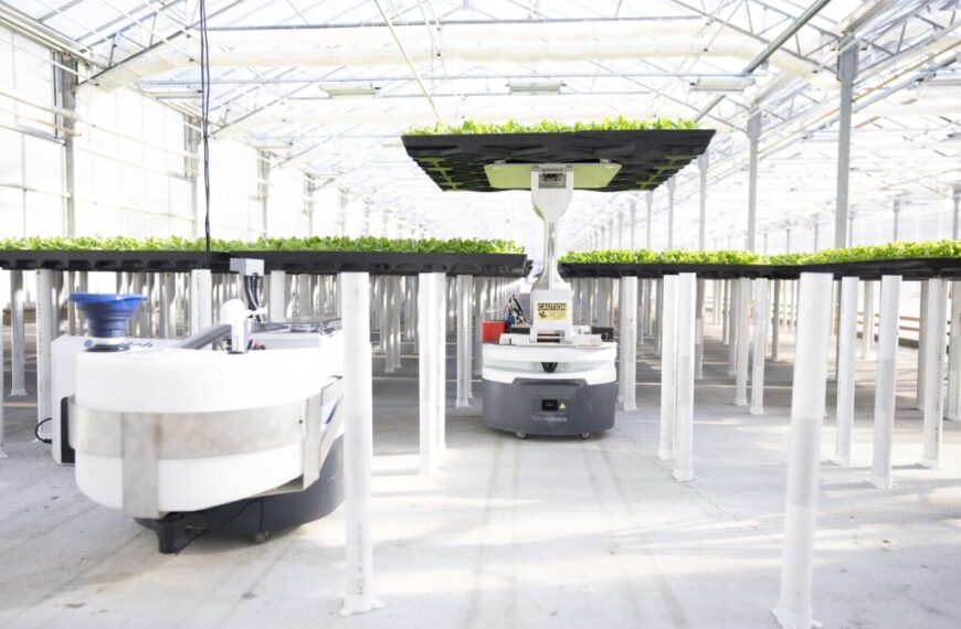 Hippo Harvest raises $30 million to expand its automated greenhouses