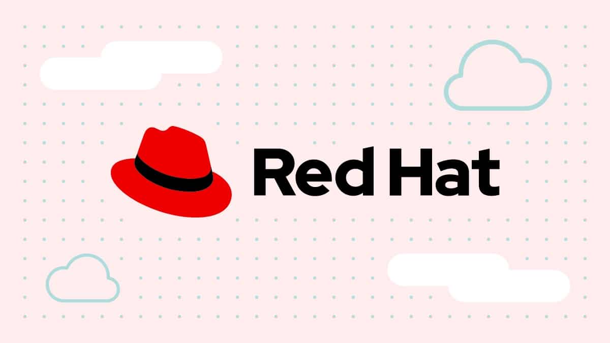 red hat seguridad vehiculos